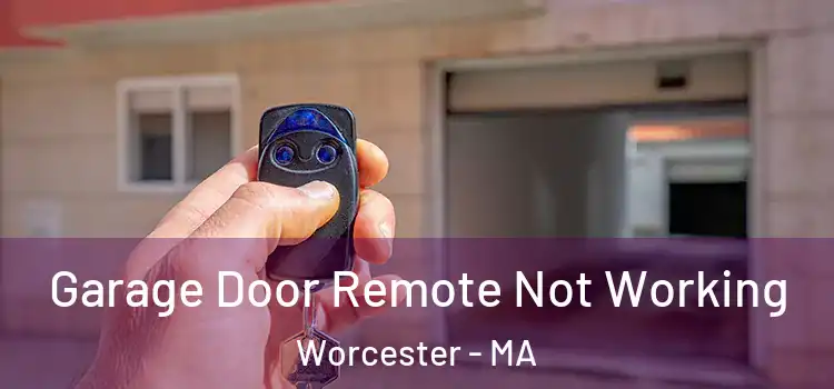  Garage Door Remote Not Working Worcester - MA